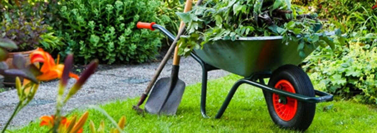 Vierkante meter borders