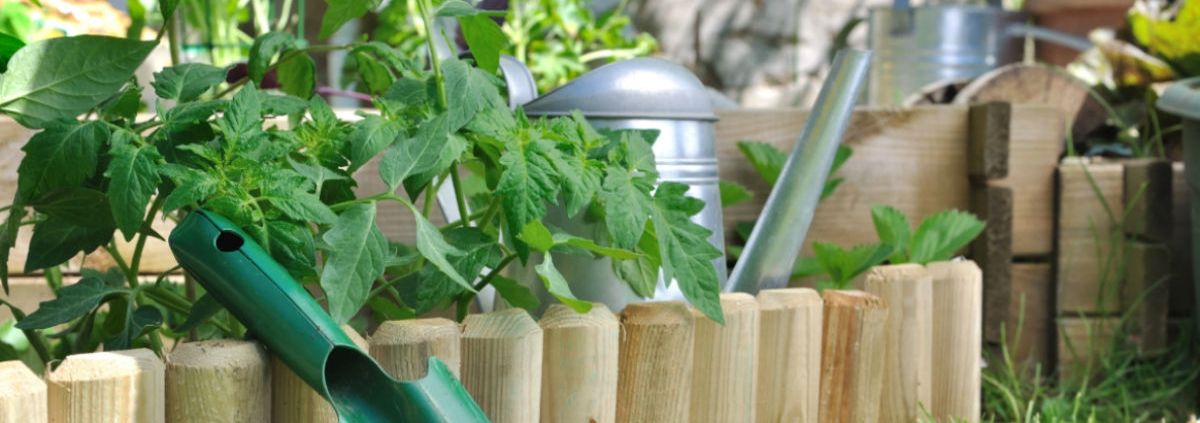 VIERKANTE METER BORDERS