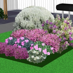 Zon tot halfschaduwborder groenblijvende border