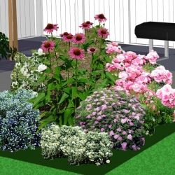 Zon tot halfschaduwborder kleurrijke struikjesborder