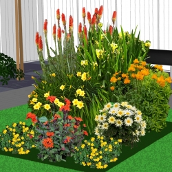 Seizoensborder zomer in oranje en geel