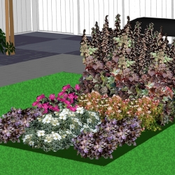 Bodembedekker ijzersterk en groenblijvend