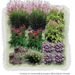 Exclusieve border siergrassen in purper en groen