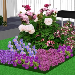 Zon tot halfschaduwborders