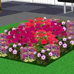 Eenjarigenborder vrolijk en zonnig