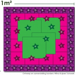 Eenjarigenborder schaduwperkje met kleur