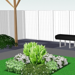 Schaduwborder super groenblijvend